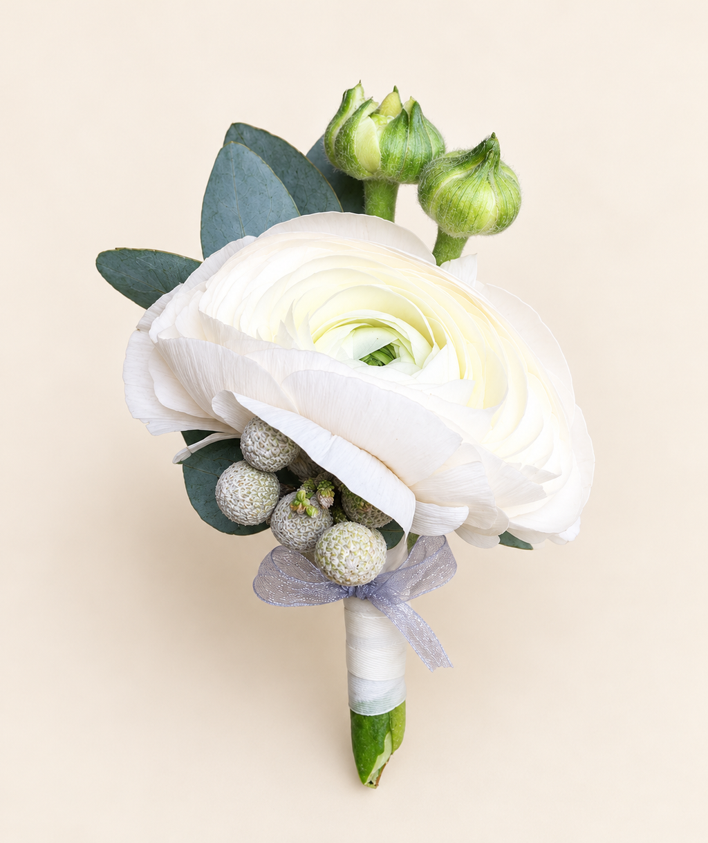 Coordinating white ranunculus boutonniere with silver brunia and eucalyptus